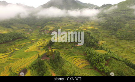 Wuyishan, Chinas Provinz Fujian. 17. September 2016. Terrassen sind im Houyuan Dorf Wutun Township in Wuyishan Stadt, Südost-China Fujian Provinz, 17. September 2016 gesehen. © Qiu Ruquan/Xinhua/Alamy Live-Nachrichten Stockfoto