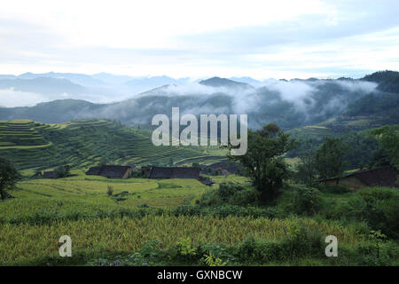 Wuyishan, Chinas Provinz Fujian. 17. September 2016. Terrassen sind im Houyuan Dorf Wutun Township in Wuyishan Stadt, Südost-China Fujian Provinz, 17. September 2016 gesehen. © Qiu Ruquan/Xinhua/Alamy Live-Nachrichten Stockfoto