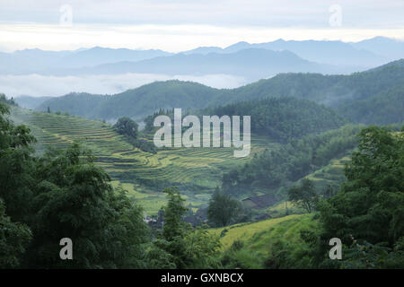 Wuyishan, Chinas Provinz Fujian. 17. September 2016. Terrassen sind im Houyuan Dorf Wutun Township in Wuyishan Stadt, Südost-China Fujian Provinz, 17. September 2016 gesehen. © Qiu Ruquan/Xinhua/Alamy Live-Nachrichten Stockfoto