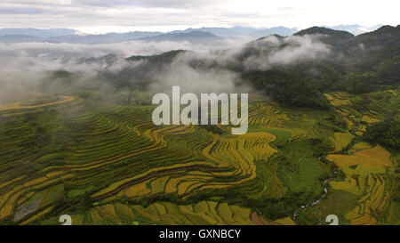 Wuyishan, Chinas Provinz Fujian. 17. September 2016. Terrassen sind im Houyuan Dorf Wutun Township in Wuyishan Stadt, Südost-China Fujian Provinz, 17. September 2016 gesehen. © Qiu Ruquan/Xinhua/Alamy Live-Nachrichten Stockfoto