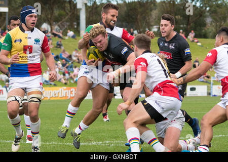 Sydney, Australien 17. September 2016: Sydney Rays Vs NSW Land Eagles in Runde 4 der nationalen Rugby-Meisterschaft in Pittwater Park. Die NSW Land Eagles gewann das Spiel 36 bis 16. Bildnachweis: Mjmediabox / Alamy Live News Stockfoto