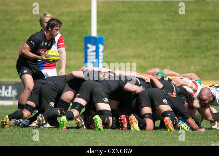 Sydney, Australien 17. September 2016: Sydney Rays Vs NSW Land Eagles in Runde 4 der nationalen Rugby-Meisterschaft in Pittwater Park. Die NSW Land Eagles gewann das Spiel 36 bis 16. Bildnachweis: Mjmediabox / Alamy Live News Stockfoto