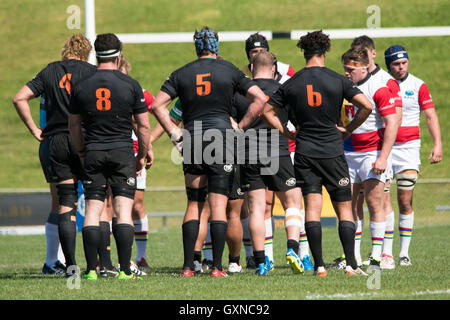 Sydney, Australien 17. September 2016: Sydney Rays Vs NSW Land Eagles in Runde 4 der nationalen Rugby-Meisterschaft in Pittwater Park. Die NSW Land Eagles gewann das Spiel 36 bis 16. Bildnachweis: Mjmediabox / Alamy Live News Stockfoto