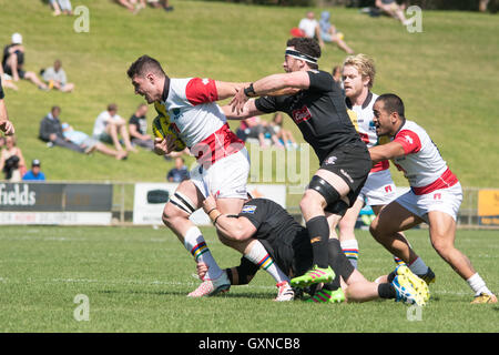 Sydney, Australien 17. September 2016: Sydney Rays Vs NSW Land Eagles in Runde 4 der nationalen Rugby-Meisterschaft in Pittwater Park. Die NSW Land Eagles gewann das Spiel 36 bis 16. Bildnachweis: Mjmediabox / Alamy Live News Stockfoto