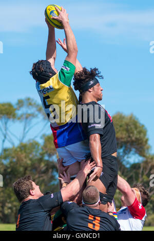 Sydney, Australien 17. September 2016: Sydney Rays Vs NSW Land Eagles in Runde 4 der nationalen Rugby-Meisterschaft in Pittwater Park. Die NSW Land Eagles gewann das Spiel 36 bis 16. Bildnachweis: Mjmediabox / Alamy Live News Stockfoto