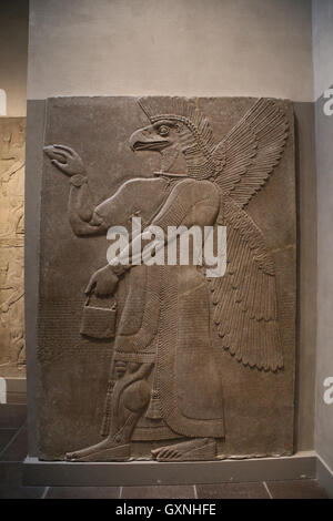 Relief. Unter der Leitung von Adler Gottes Nisroch. 9. Jahrhundert BC. Neo-assyrischen. Herrschaft von Ashurnasirpal. Nimrud (alte Kalhu). Mesopotamien. Stockfoto