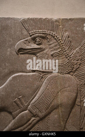 Relief. Unter der Leitung von Adler Gottes Nisroch. 9. Jahrhundert BC. Neo-assyrischen. Herrschaft von Ashurnasirpal. Nimrud (alte Kalhu). Mesopotamien. Stockfoto