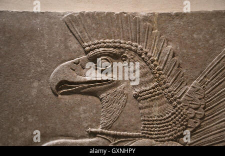 Relief. Unter der Leitung von Adler Gottes Nisroch. 9. Jahrhundert BC. Neo-assyrischen. Herrschaft von Ashurnasirpal. Nimrud (alte Kalhu). Mesopotamien Stockfoto