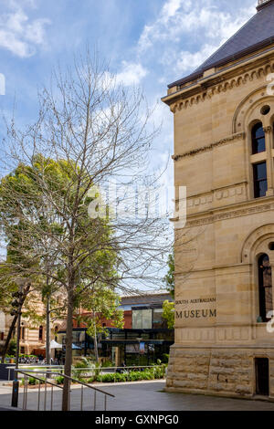 Außenseite des South Australian Museum in North Terrace Adelaide Stockfoto