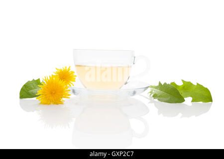 Löwenzahn Tee Hintergrund, pflanzliche Heilmittel. Löwenzahn Tee, Blumen und Blätter, die isoliert auf weißem Hintergrund. Stockfoto