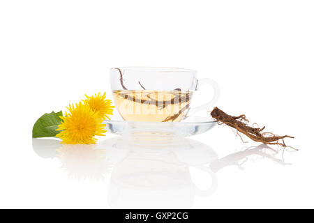 Löwenzahn Tee Hintergrund, pflanzliche Heilmittel. Löwenzahn Tee, Blumen, Blätter und Wurzel isoliert auf weißem Hintergrund. Stockfoto
