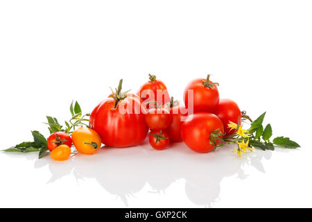 Verschiedene Tomaten auf weißem Hintergrund. Rot, gelb, groß, klein, Cherry-Tomate isoliert auf weißem Hintergrund. Gesundes Obst essen. Stockfoto