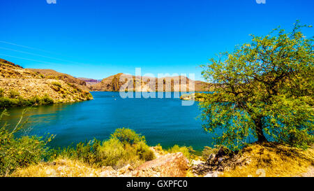 Canyon Lake und die Wüstenlandschaft des Tonto National Forest auf dem Apache Trail in Arizona, USA Stockfoto