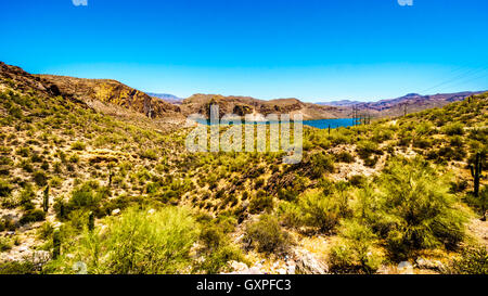 Canyon Lake und die Wüstenlandschaft des Tonto National Forest auf dem Apache Trail in Arizona, USA Stockfoto