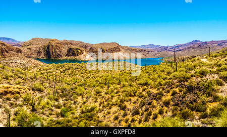 Canyon Lake und die Wüstenlandschaft des Tonto National Forest auf dem Apache Trail in Arizona, USA Stockfoto