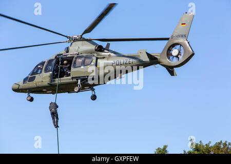 Ausübung eines SWAT-Teams, deutsche Polizei, anti-Terror-Polizei-Einheit, schnell von einem Hubschrauber Abseilen, Stockfoto