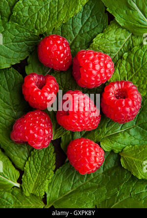 Himbeeren auf Minze Blätter Clos auf. Natürliche gesunde Ernährung. Still Life Fotografie Stockfoto