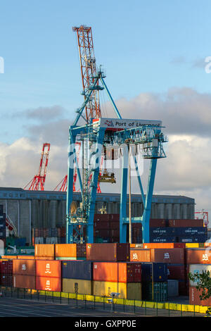 Peel Ports, Freeport Zollzonen £300m Tiefe Wasser Container Terminal Verlängerung Gantry und riesige Kragarmschienenmontierte Gantry megamax Krane (CRMG), die jetzt die größten Containerschiffe der Welt entladen können. Versand im Hafen von Liverpool, L2 Merseyside, Großbritannien Stockfoto