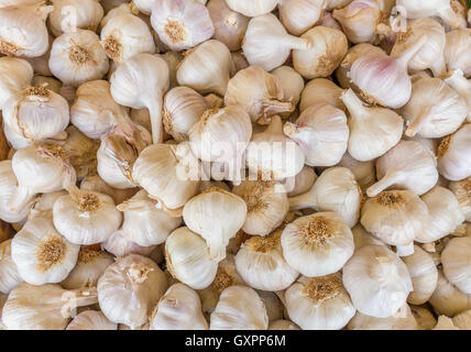 Haufen weißer Knoblauch Zwiebeln auf Marktplatz Stockfoto