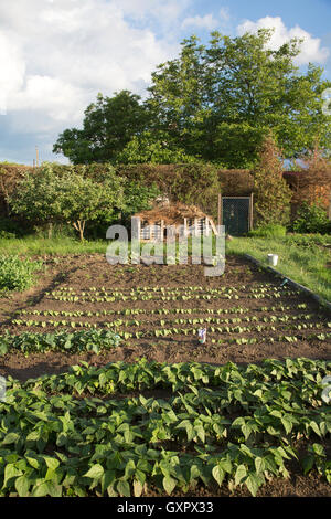 Garten an einem sonnigen Tag in Budapest, Ungarn Stockfoto