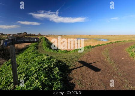 Frühling-Blick über Dornweiler Salzwiesen, die Küste von North Norfolk, England, UK Stockfoto