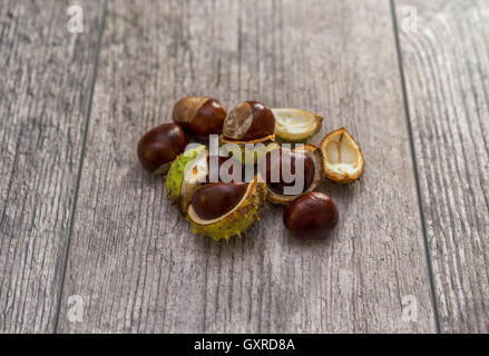 Im Herbst Kastanien in Schalen Stockfoto