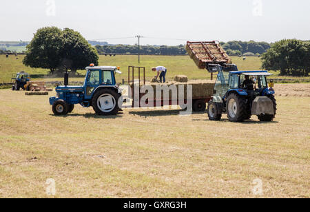 Laden Heuballen auf einem Traktor-Anhänger auf einem Bauernhof in Derbyshire Peak District Großbritannien Stockfoto