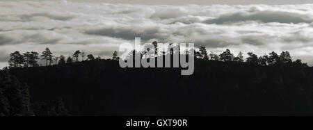 Die Wolken sind unterhalb der Rtidge und Bestandteil einer Nebelbank im Boulder-Tal Stockfoto