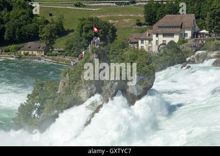 Fluss Rheinfall bei Schaffhausen, Neuhausen bin Rheinfall, Schweiz Stockfoto