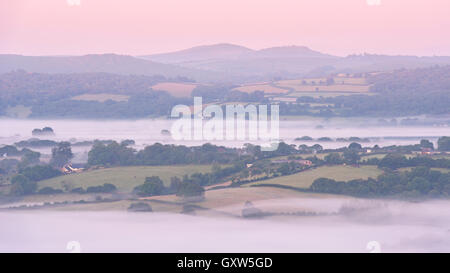 Nebel bedeckt Hügellandschaft im Morgengrauen in der Nähe von Moretonhampstead, Dartmoor Nationalpark, Devon, England. (Juli) im Sommer 2015. Stockfoto