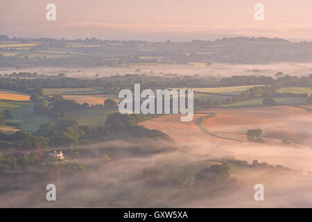 Nebel bedeckt Dartmoor Hügellandschaft in der Morgendämmerung, Devon, England. (Juli) im Sommer 2015. Stockfoto