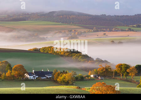 Auf dem Land umgeben von idyllischen Hügellandschaft, Dartmoor National Park, Devon, England. Herbst (Oktober) 2015. Stockfoto