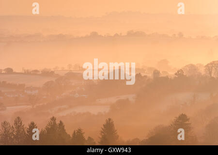 Nebel und frostigen Winter Sonnenaufgang über Dartmoor Landschaft in der Nähe von Throwleigh, Devon, England. Winter (März) 2016. Stockfoto