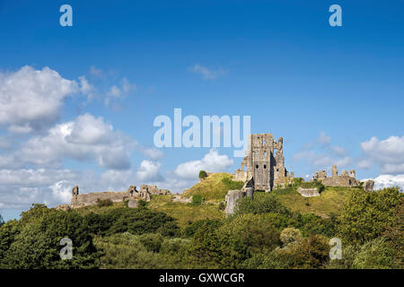 Antikes Denkmal. Corfe Castle aus dem 11th. Jahrhundert in den Purbeck Hills. isle of Purbeck, Dorset, England Stockfoto