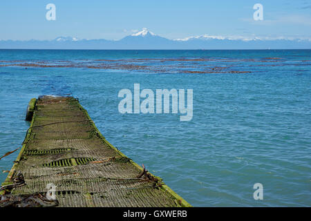 Küste von Chiloe Insel. Stockfoto