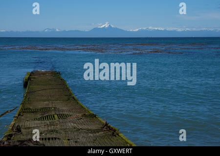 Küste von Chiloe Insel. Stockfoto