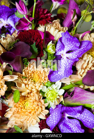 Blumen Blumenstrauß mit verschiedenen Farben mischen. Verschiedene Arten von Blumen. Sehr buntes Bild Stockfoto