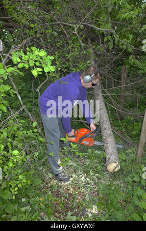 Jungen Alter von 17 Jahren schneiden umgestürzten Baum mit Kettensäge schützende Anhörung Getriebe und Schutzbrille tragen. Clitherall Minnesota MN USA Stockfoto