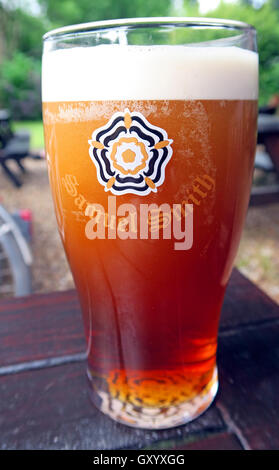 Eine vollständige Pint Sam Smiths alte Brauerei Bitter, Yorkshire, in einem Biergarten Stockfoto