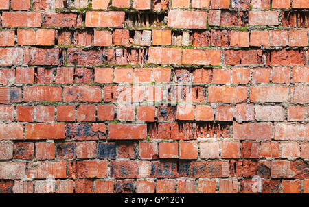 Alte beschädigte roten Backsteinmauer mit Rissen und Moos, Foto Hintergrundtextur Stockfoto