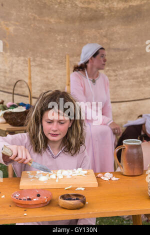 Isländische Wikingerfestival Feldlager in Gimli, Manitoba, Kanada. Stockfoto