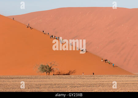 Menschen klettern Sanddünen, Sossusvlei Namib-Naukluft, Namibia, August 2016 Stockfoto
