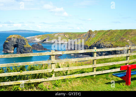 Sitzfläche mit Blick auf Jungfrau Felsen in der Nähe von Klippen auf dem Wilden Atlantik Weg in Ballybunion County Kerry Irland Stockfoto