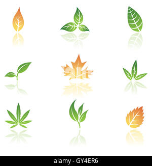 Verlässt der Symbole, die auf einem weißen Hintergrund isoliert Stockfoto