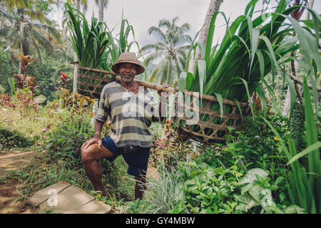 Alter erschossen Sie Mann mit Sämlinge auf seinen Schultern. Senior Bauer lächelnd in seiner Farm arbeiten. Stockfoto