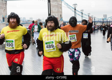 Der Great Gorilla Run ist jetzt im 14. Jahr, ein Charity-Spaß führen, die weit über £ 2 Millionen für Gorilla-Erhaltung und Armut Reduzierungsprojekte in Zentralafrika erhöht hat.   Hunderte von Menschen verkleidet als Gorillas laufen, Joggen oder gehen Sie 8km aber der City of London, Geldbeschaffung zur Rettung einer Spezies auf den Rand des Aussterbens. Stockfoto