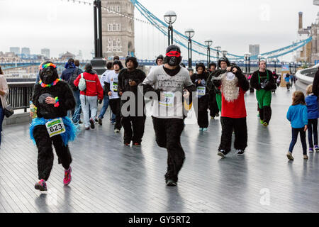 Der Great Gorilla Run ist jetzt im 14. Jahr, ein Charity-Spaß führen, die weit über £ 2 Millionen für Gorilla-Erhaltung und Armut Reduzierungsprojekte in Zentralafrika erhöht hat.   Hunderte von Menschen verkleidet als Gorillas laufen, Joggen oder gehen Sie 8km aber der City of London, Geldbeschaffung zur Rettung einer Spezies auf den Rand des Aussterbens. Stockfoto