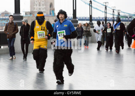Der Great Gorilla Run ist jetzt im 14. Jahr, ein Charity-Spaß führen, die weit über £ 2 Millionen für Gorilla-Erhaltung und Armut Reduzierungsprojekte in Zentralafrika erhöht hat.   Hunderte von Menschen verkleidet als Gorillas laufen, Joggen oder gehen Sie 8km aber der City of London, Geldbeschaffung zur Rettung einer Spezies auf den Rand des Aussterbens. Stockfoto