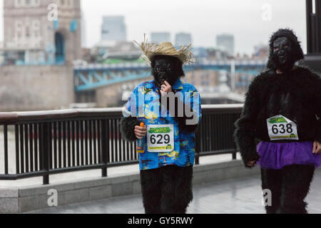Der Great Gorilla Run ist jetzt im 14. Jahr, ein Charity-Spaß führen, die weit über £ 2 Millionen für Gorilla-Erhaltung und Armut Reduzierungsprojekte in Zentralafrika erhöht hat.   Hunderte von Menschen verkleidet als Gorillas laufen, Joggen oder gehen Sie 8km aber der City of London, Geldbeschaffung zur Rettung einer Spezies auf den Rand des Aussterbens. Stockfoto