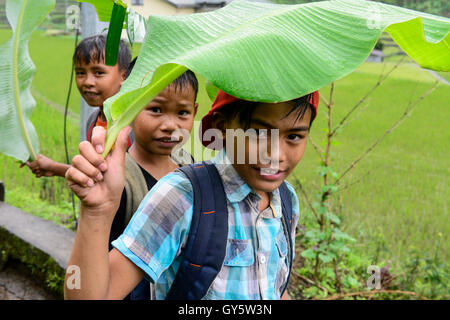 Philippinen, Hunduan, Ifugao Provinz, Cordilleras, Banaue Reis Landwirtschaft am Hapao Reisterrassen in Bergen, Kinder auf ihrem Weg zur Schule, schützen sich vor Regen mit Banan Blätter / PHILIPPINEN, Banaue, Hapao Reisterrassen, Reisanbau Und Reisfelder in Den Bergen Bei Hunduan, Kinder Auf Dem Weg Zur Schule Im Regen Stockfoto